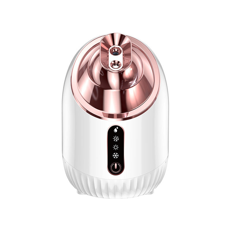 Hot Cold Spray Face Steamer Nano Hydration
