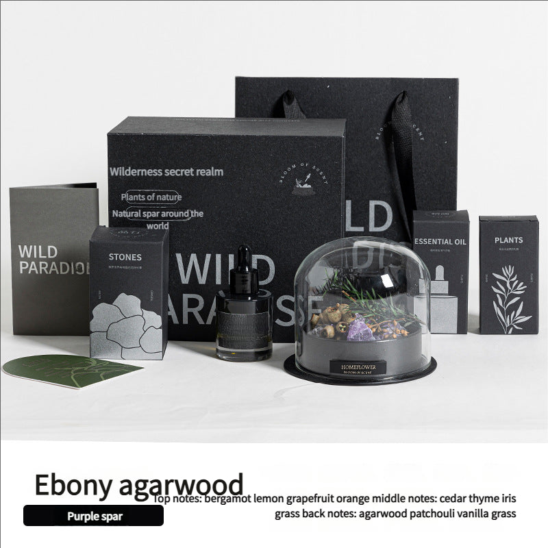 Aromatherapy Diffuser